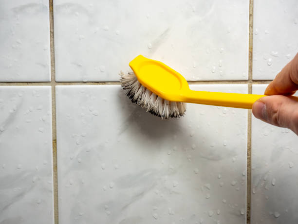 Reliable Oak View, CA Mold Removal Solutions