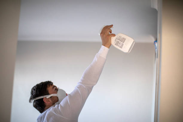 Best Emergency Mold Removal  in Oak View, CA