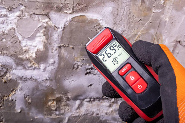 Water Damage Restoration in Oak View, CA