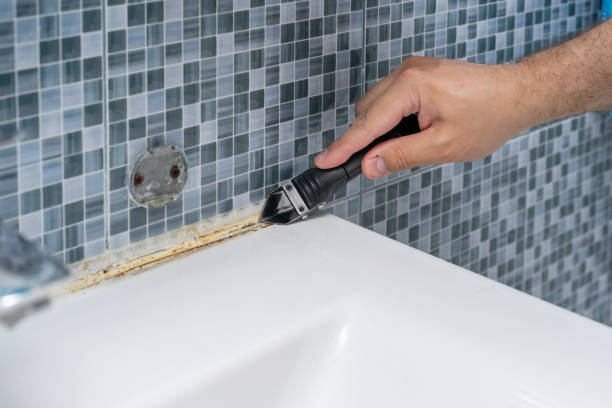 Best Mold Testing  in Oak View, CA