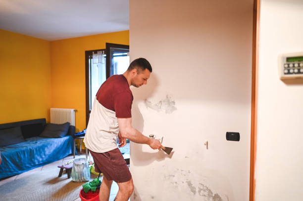 Best Mold Removal Specialists  in Oak View, CA